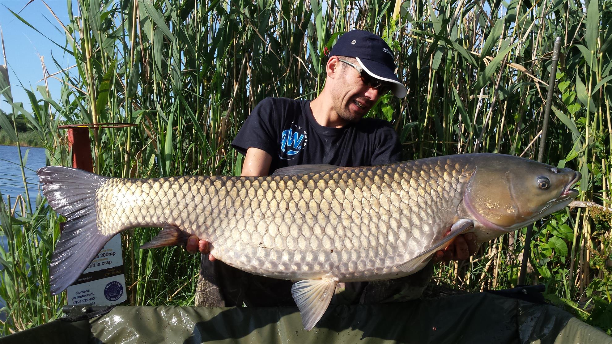 Tancabesti 5 - 6 iunie 2015 - 20150606081225.jpg